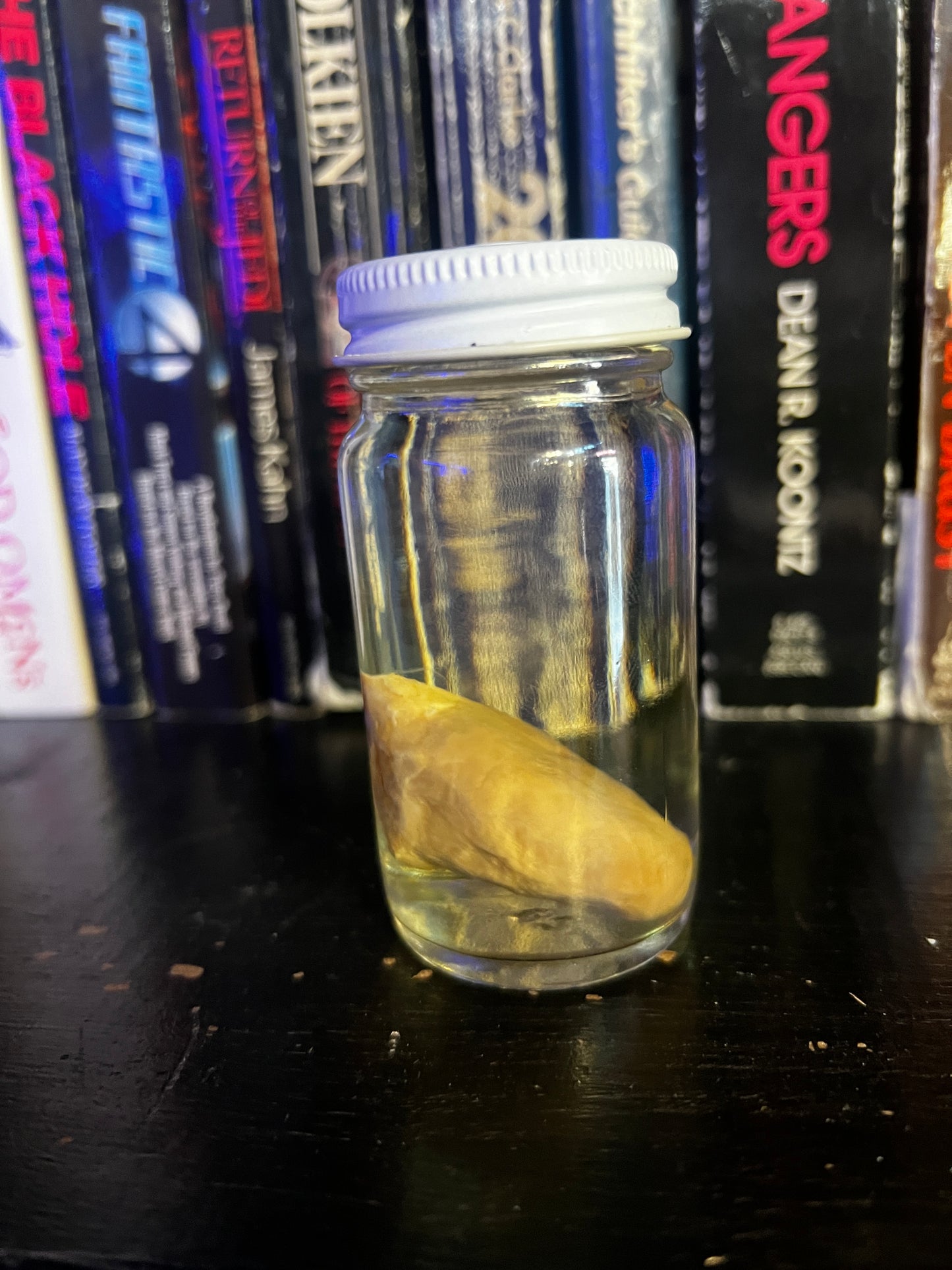Turkey Heart Wet Specimen