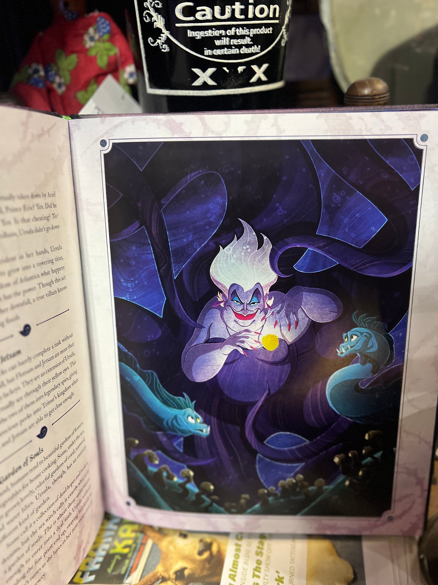 Disney Villains A Portrait of Evil
