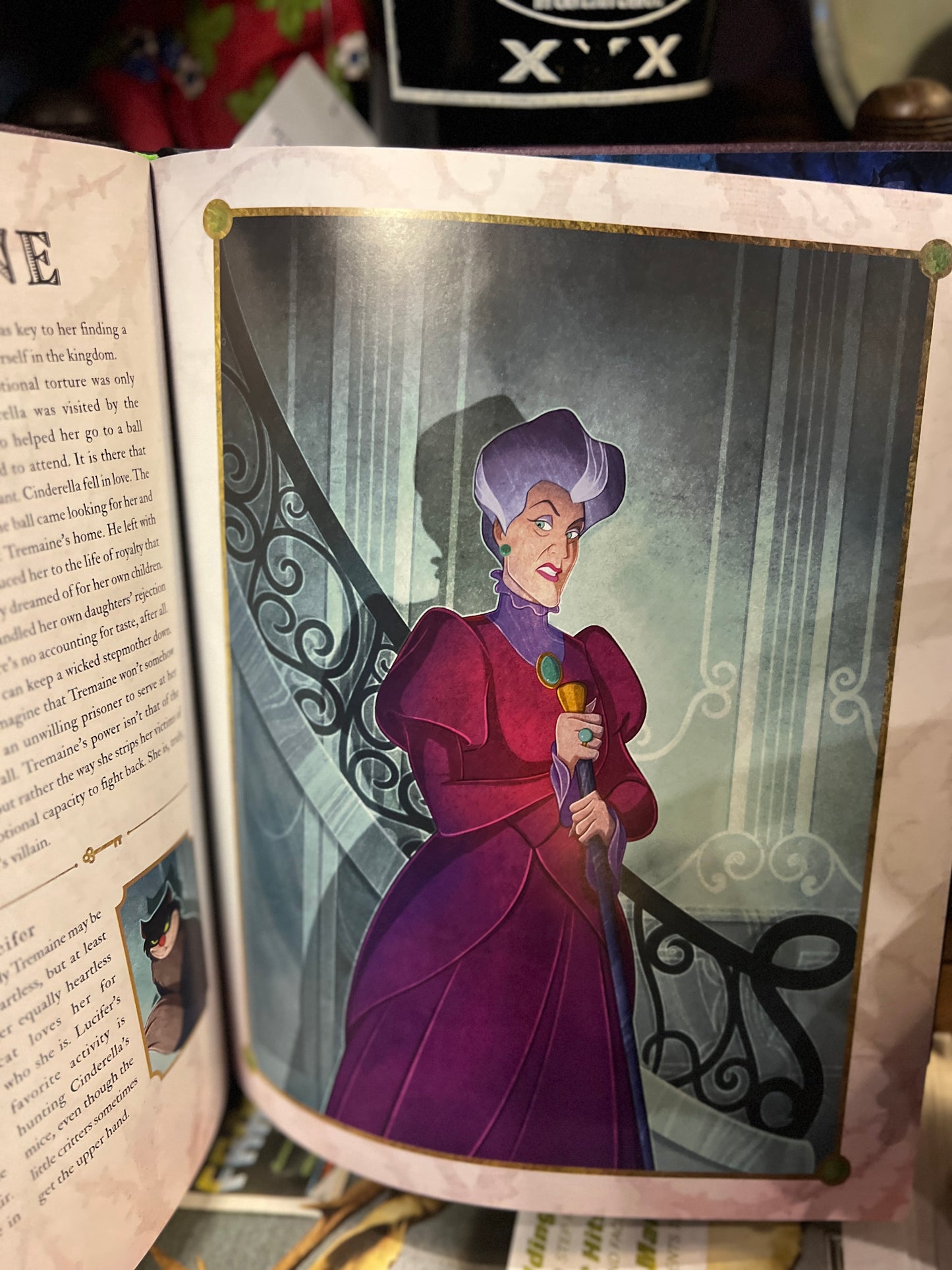 Disney Villains A Portrait of Evil