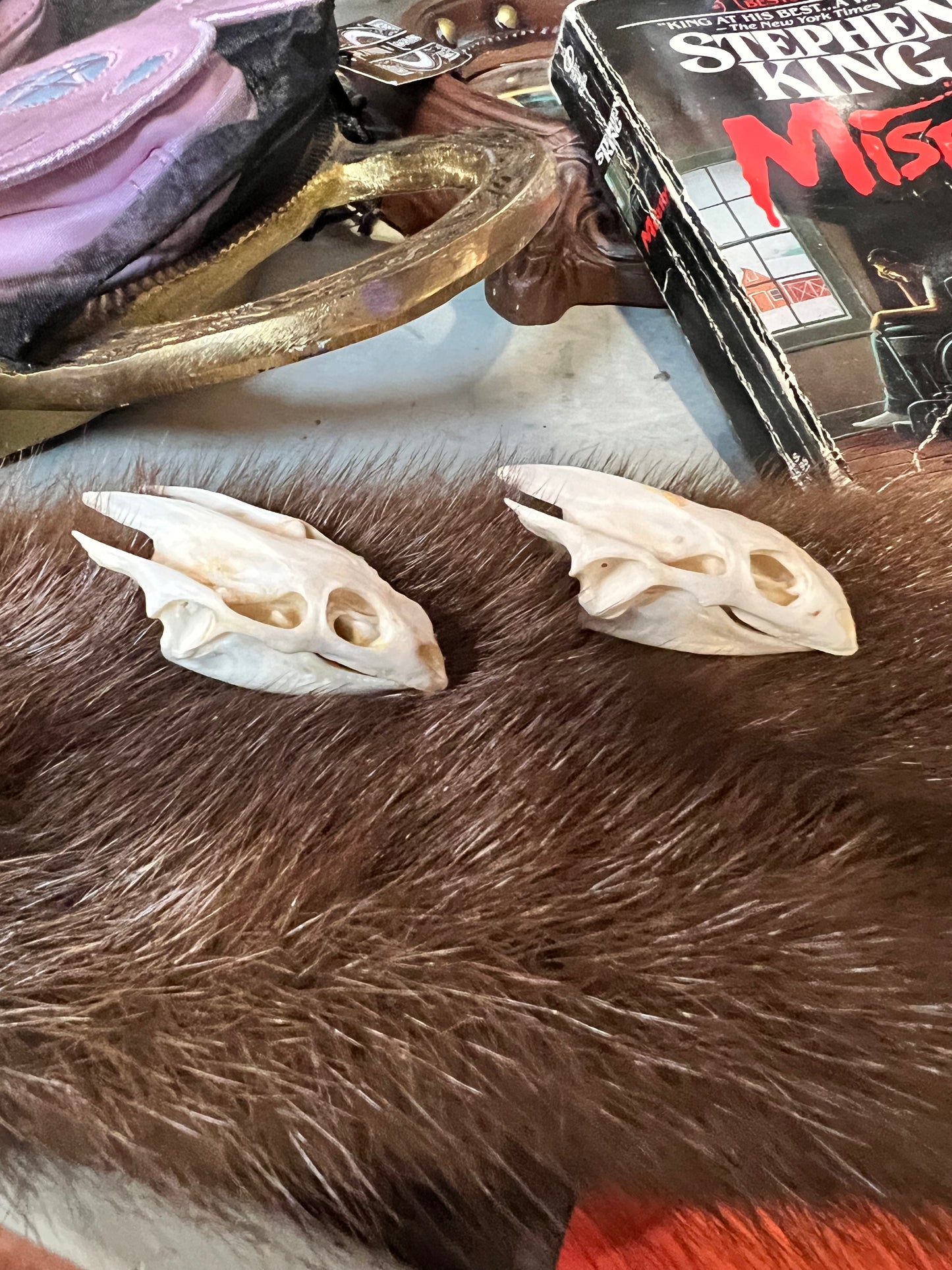 Turtle Skull