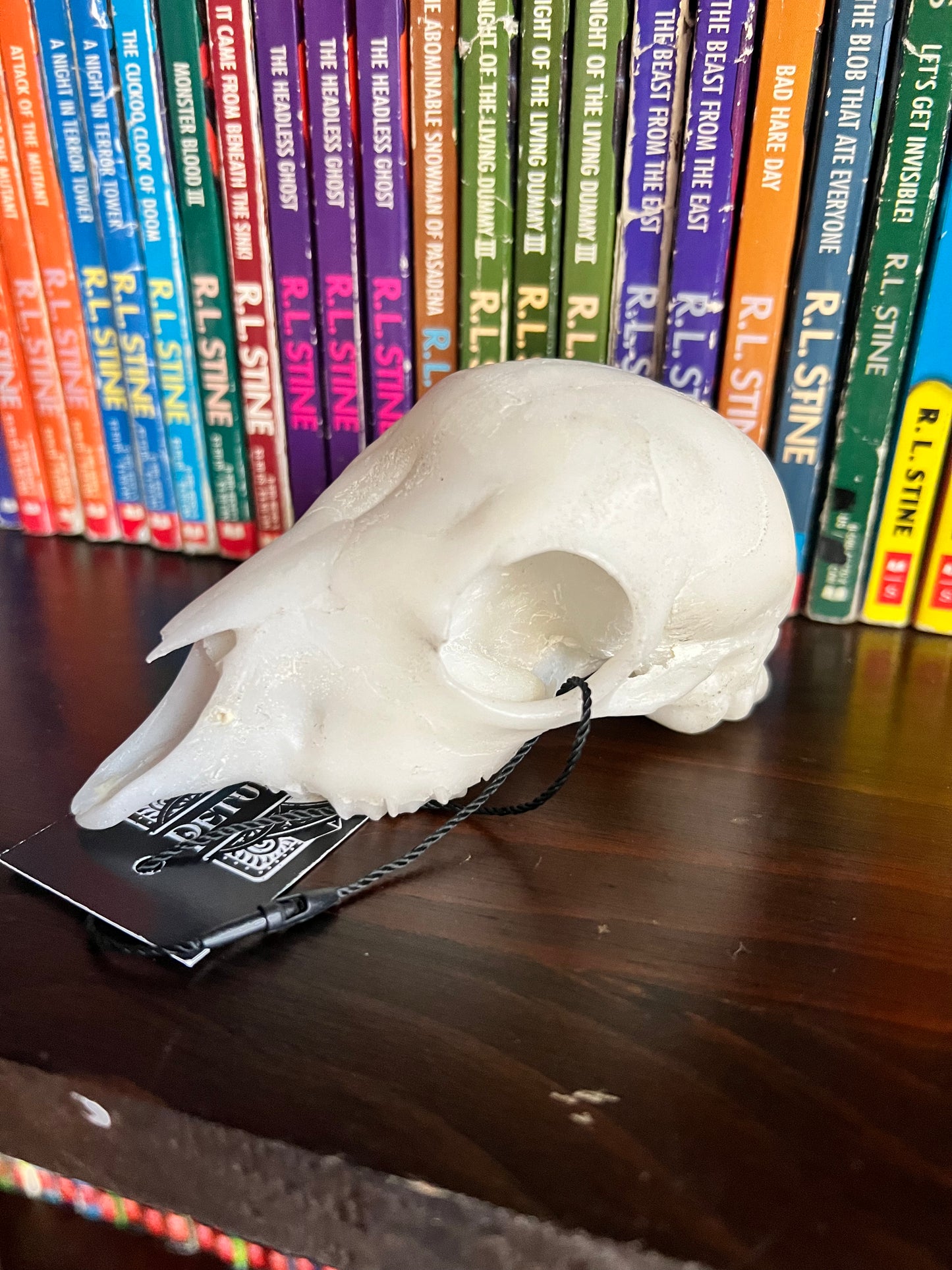 Goat Kid Skull replica