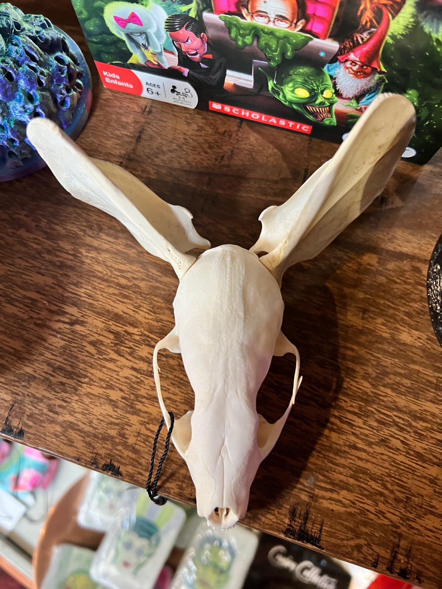 Mickey Mouse Gaff Skull