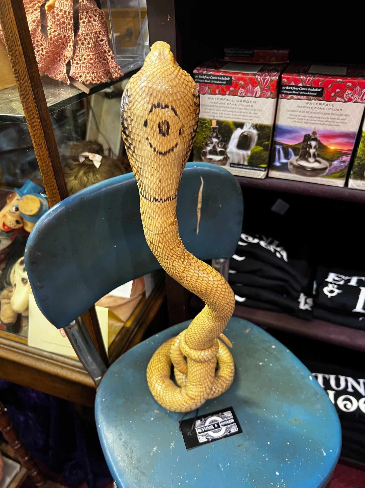 Vintage Cobra Taxidermy amount
