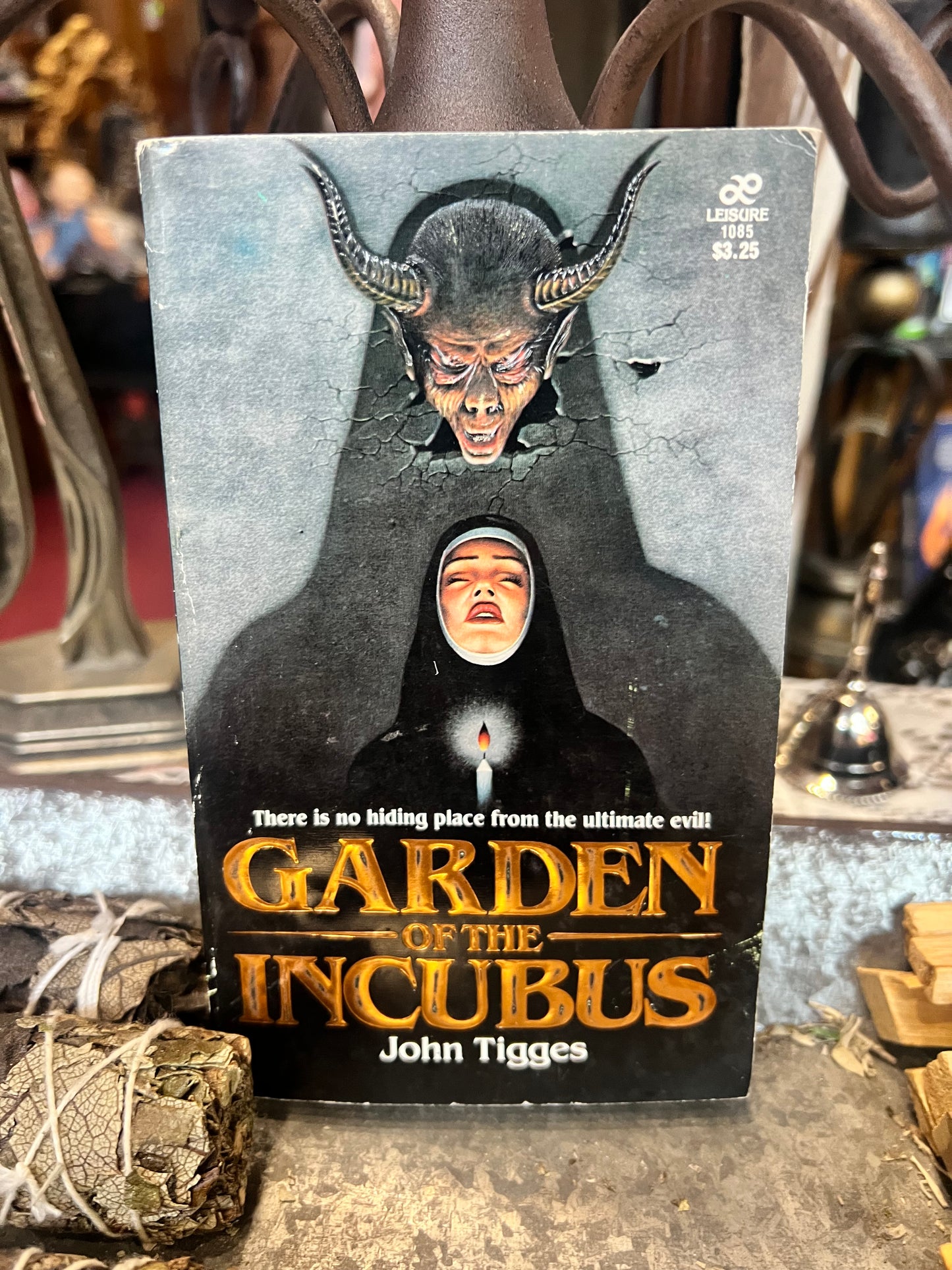 Garden of the Incubus by John Tigges