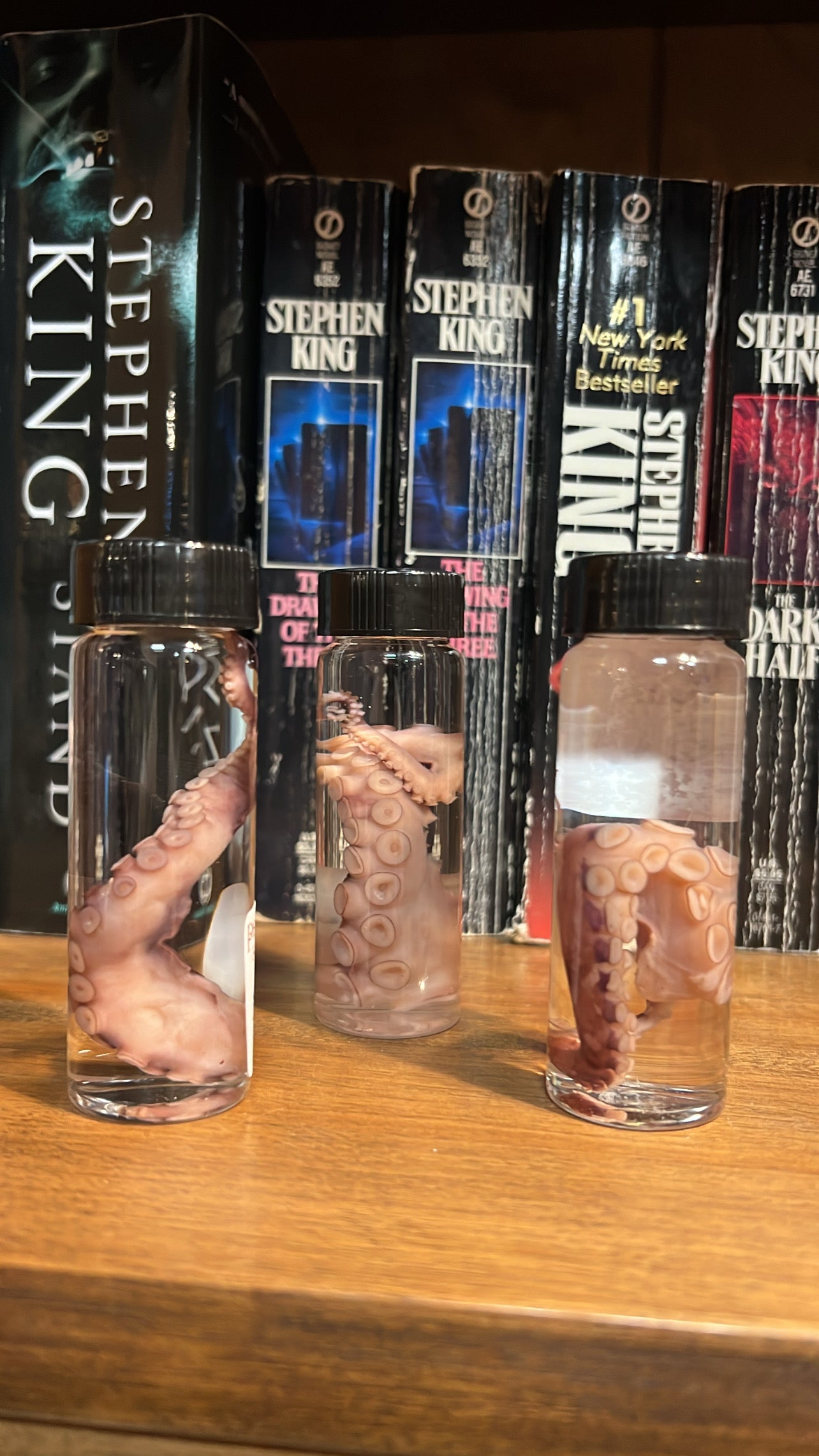 Octopus Wet Specimen