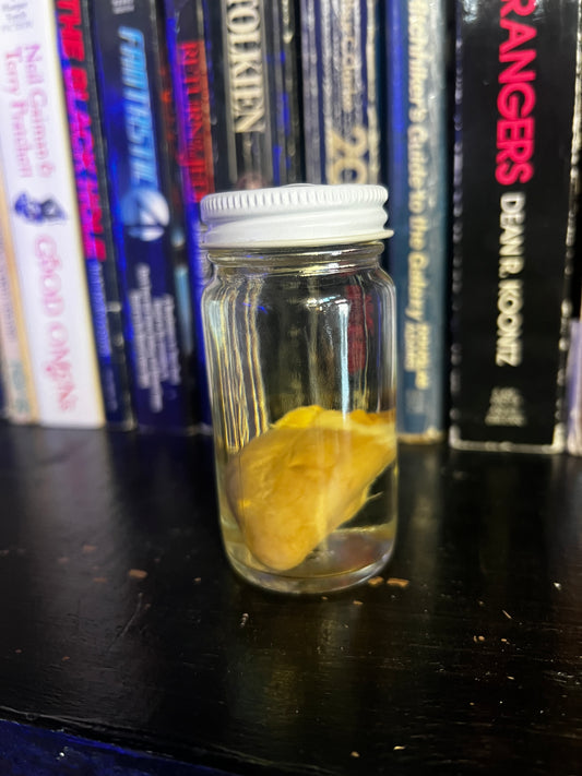 Turkey Heart Wet Specimen