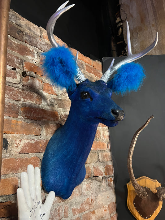 Blue Taxidermy Deer