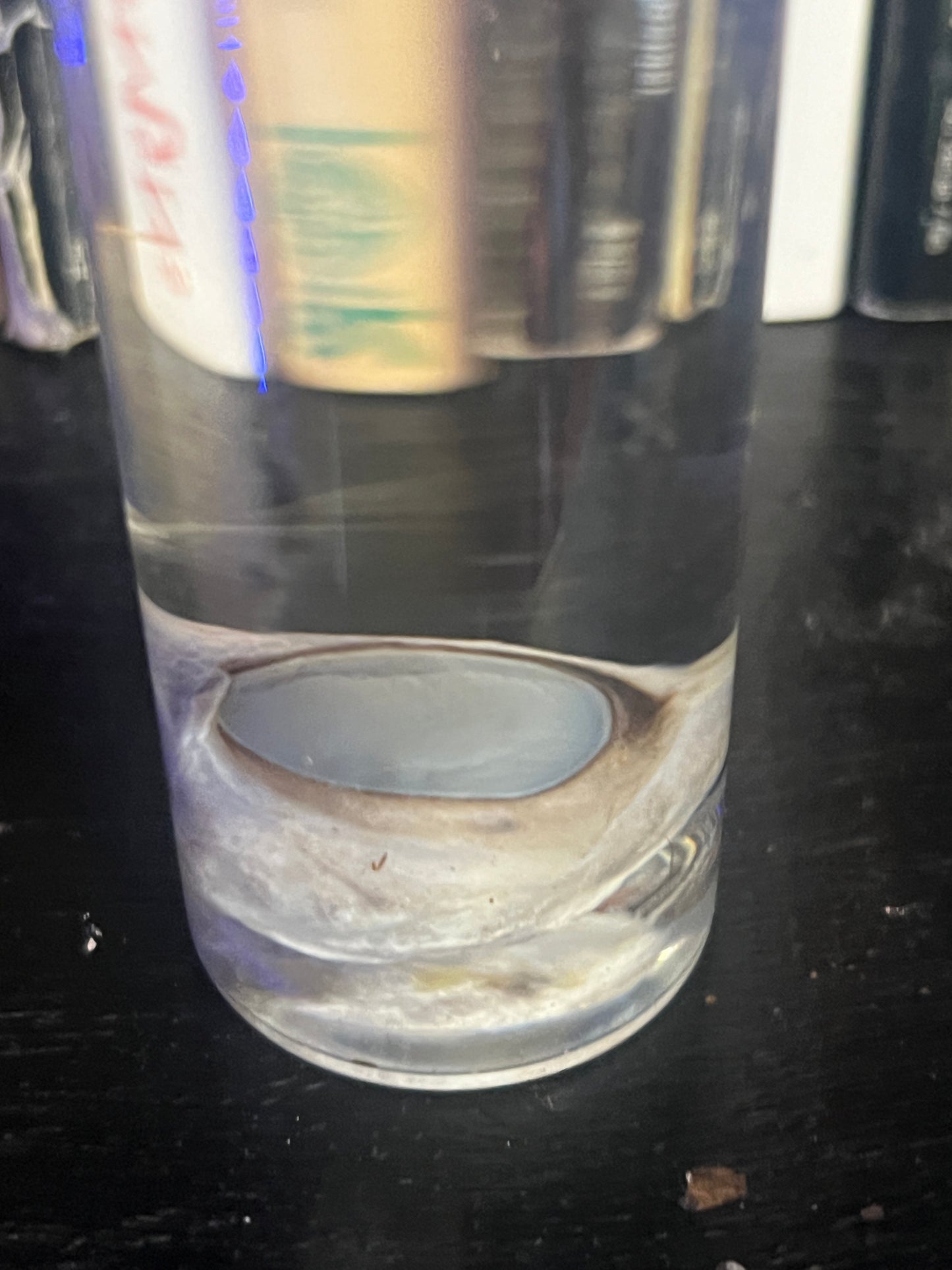 Pig Eye Ball Wet Specimen